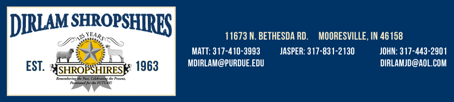 Contact Info