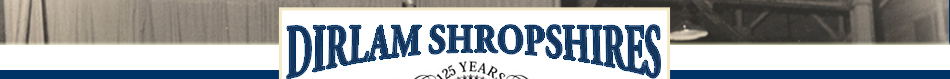 Dirlam Shropshires